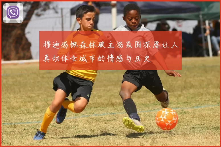穆迪感慨森林狼主场氛围深厚让人真切体会城市的情感与历史